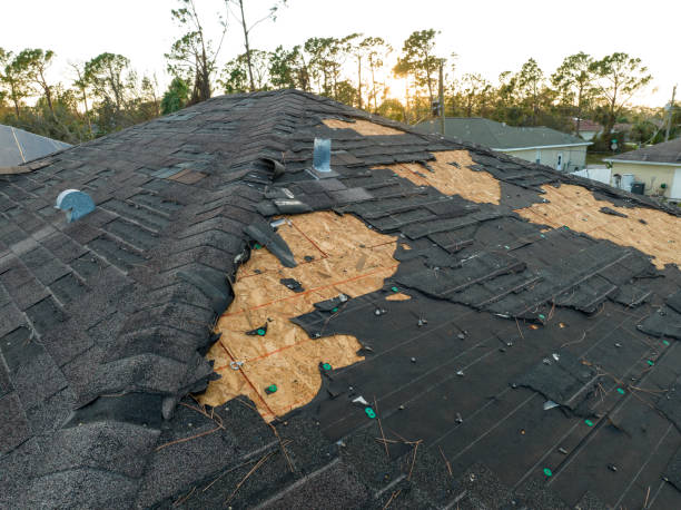 Roof Moss and Algae Removal